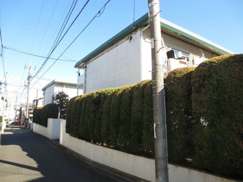 ハイム・パータン IMG_1526.jpg