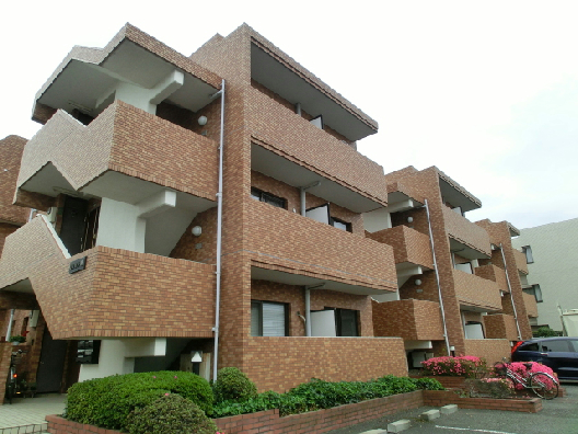 CIMG2937.jpg