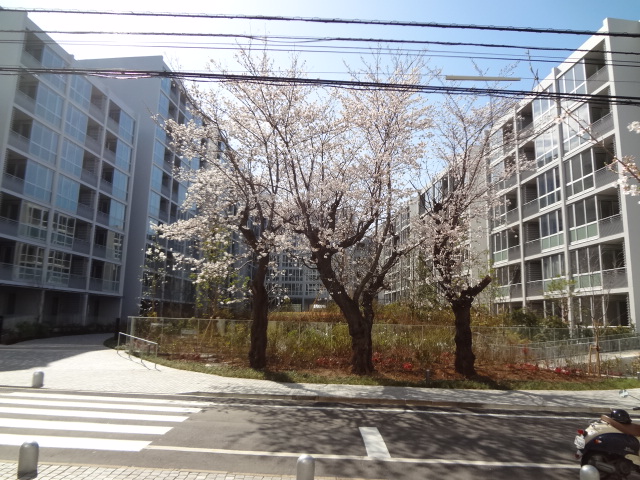ガーデニエール砧ＷＥＳＴ 外観桜 (1).jpg