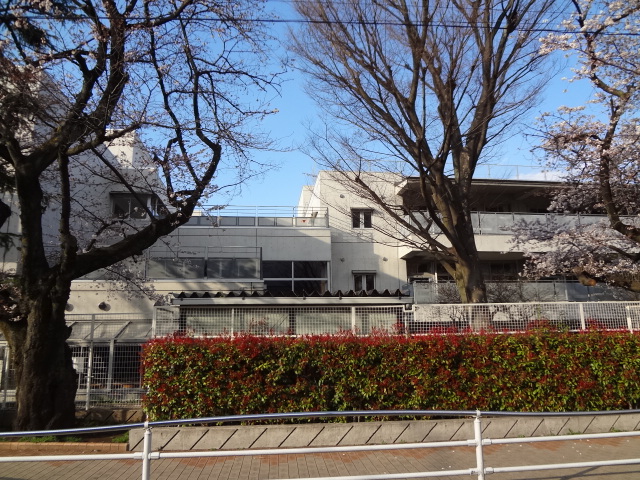 直井ビル 小学校：世田谷区立桜丘小学校　841m